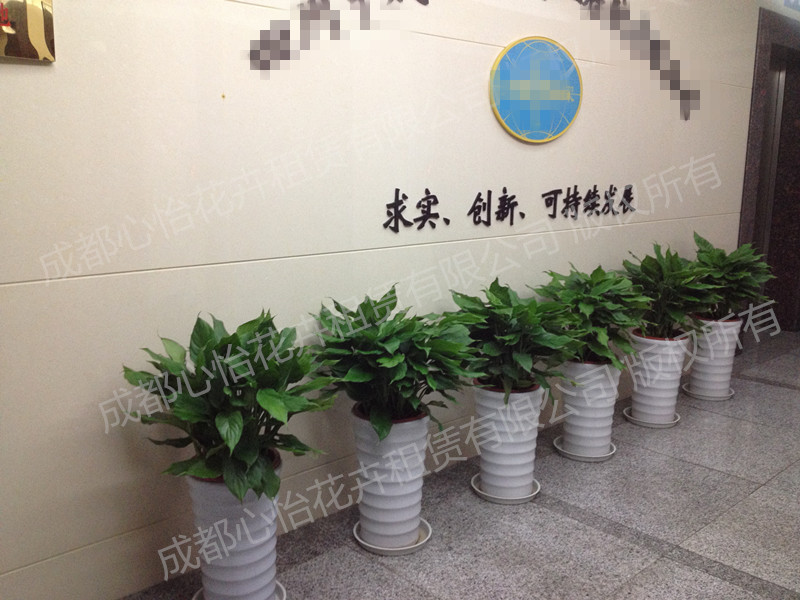 政府办公室工作怎么样_南京办公室装修_3室2厅1卫装修效果图