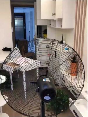 粽垫中的甲醛怎么除_装修后除甲醛_除新房甲醛活性炭排名