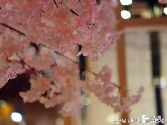 汉丽轩烤肉公主坟店_韩国烤肉装修图片大全_烤肉店装修