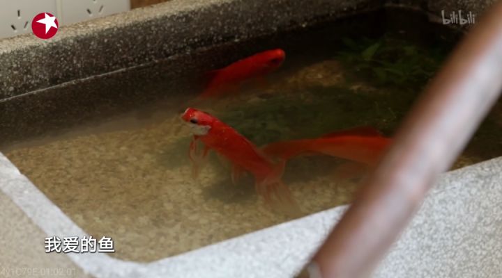 婚房装修效果图_婚房要提前装修儿童房吗_婚房装修