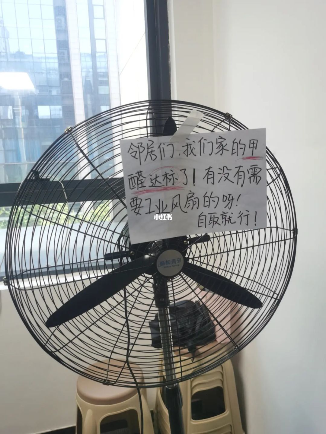 怎么用醋除卫生间异味_装修除异味_如何除室内异味