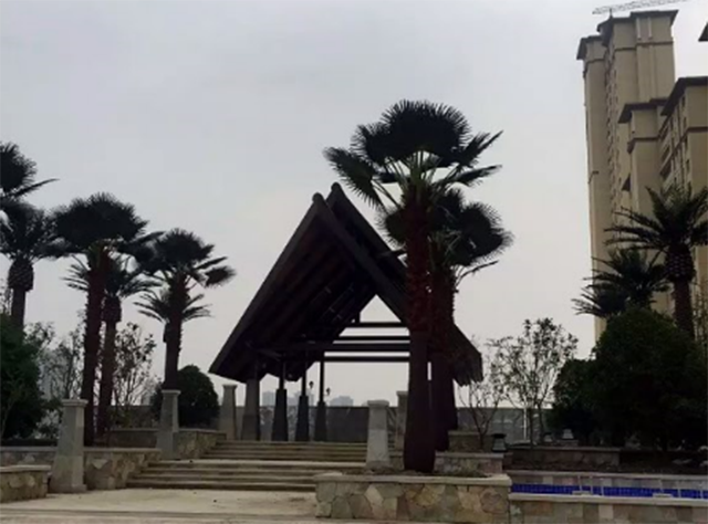 新闻