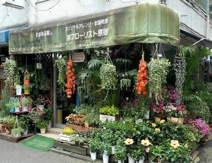 90后美女在阁楼开店铺！房间太破，奇思妙想用各种植物来掩盖