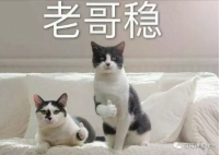 装修节目有哪些_小户型装修节目_天津电视台装修节目