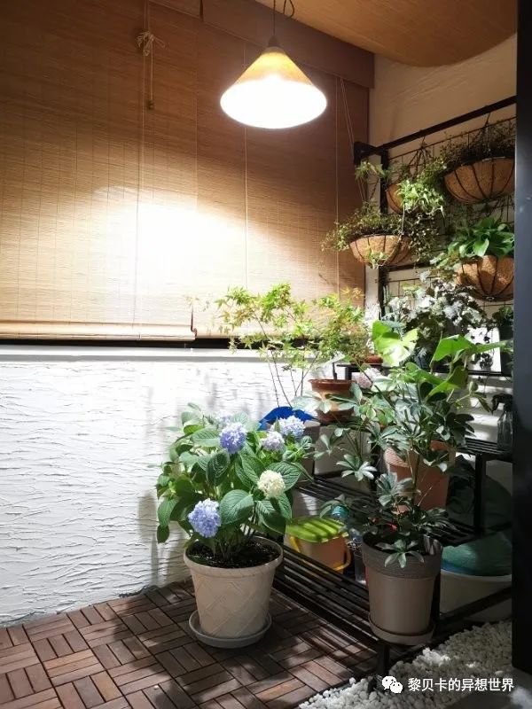 内衣实体店装修风格图_内衣店装修图_内衣饰品店装修图片