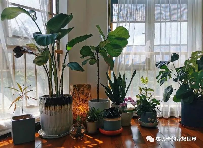 内衣饰品店装修图片_内衣店装修图_内衣实体店装修风格图