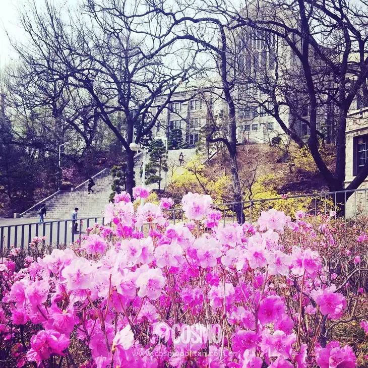 图满多装修效果图童装店_内衣店装修图_烘培店装修cad图