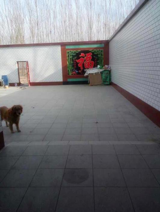 晒晒我的农村婚房，占地面积600平，厨房超级大，卧室谁见过？