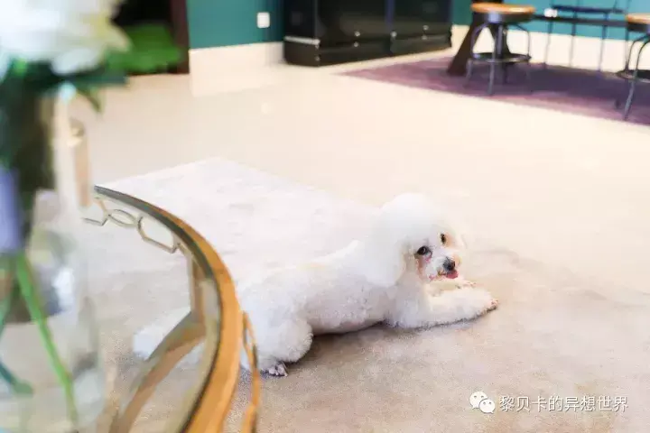彩妆店装修效果图片_家具装修店(天丰利市场店)怎么样_家具店装修效果图