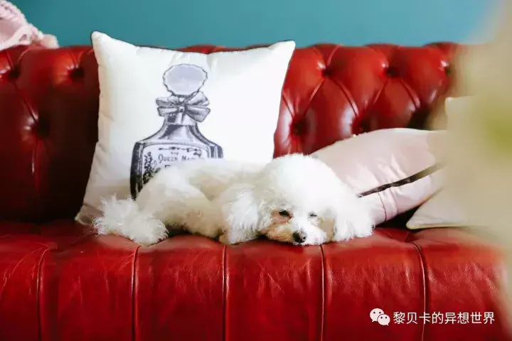 彩妆店装修效果图片_家具店装修效果图_家具装修店(天丰利市场店)怎么样