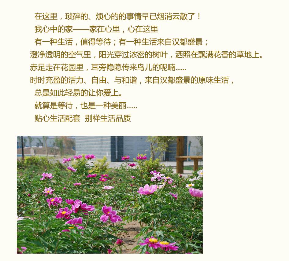 阳台柜子装修效果图片_家装阳台装修效果图片_小阳台装修效果图