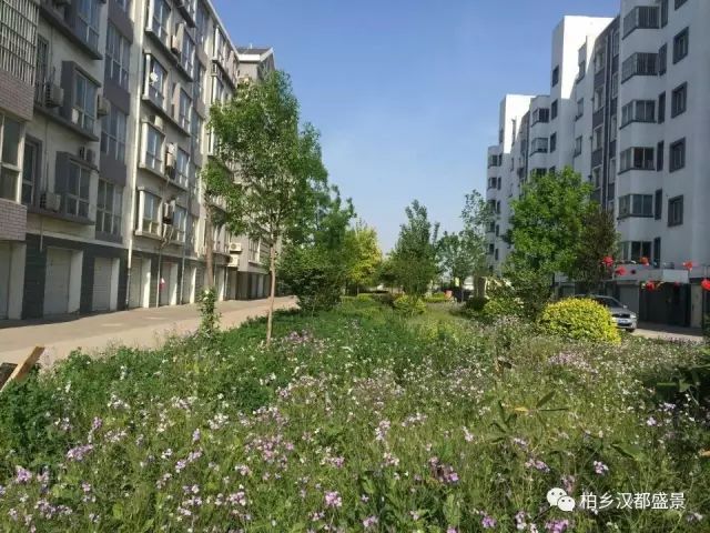 小阳台装修效果图_阳台柜子装修效果图片_家装阳台装修效果图片