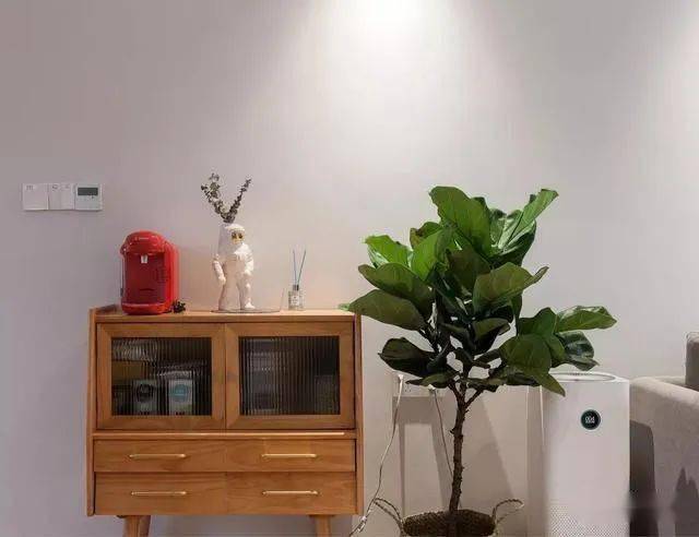 婚房房装修效果图_精装修收房验房标准_二手房装修翻新