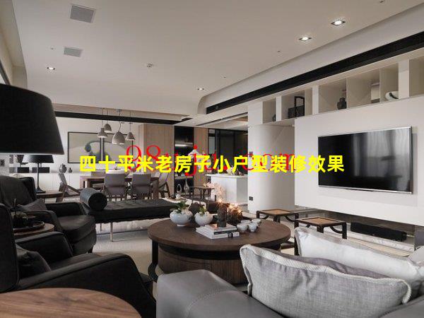40平老房子老户型全新装修-四十平米老房子小户型装修效果