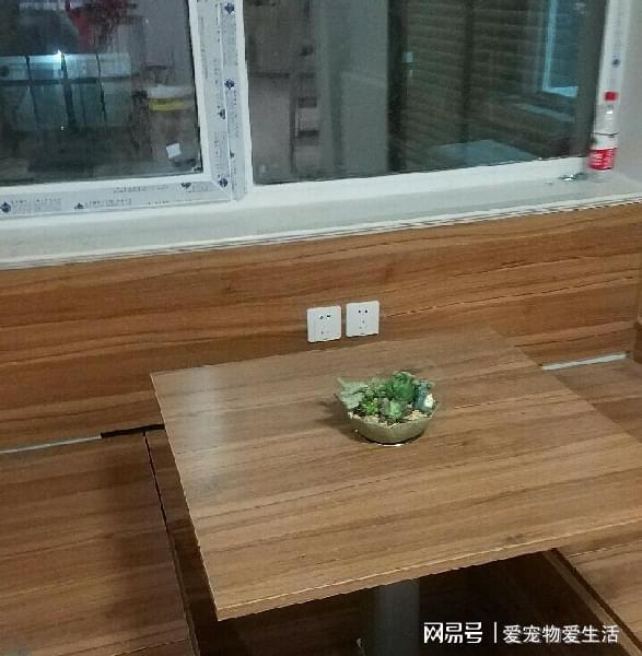 儿童房间装修效果图大全2013图片_房间装修_美容院印度式装修房间