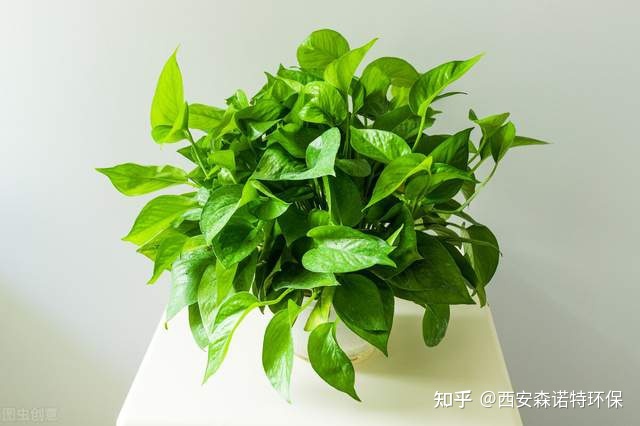 新房装修厕所装修步骤_装修新房_装修新房