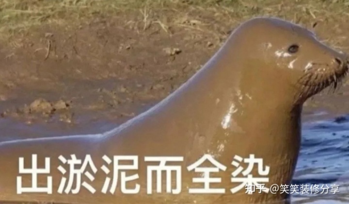 南宁装修公司_南宁装修_南宁都市装修频道