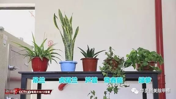 南宁除新房装修除污染_甲醛的来源怎么除_装修后除甲醛