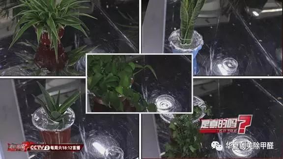 装修后除甲醛_甲醛的来源怎么除_南宁除新房装修除污染