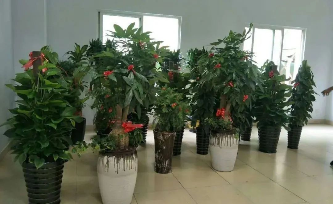 光触媒除车内甲醛_装修后除甲醛_绍兴装修甲醛除油漆味