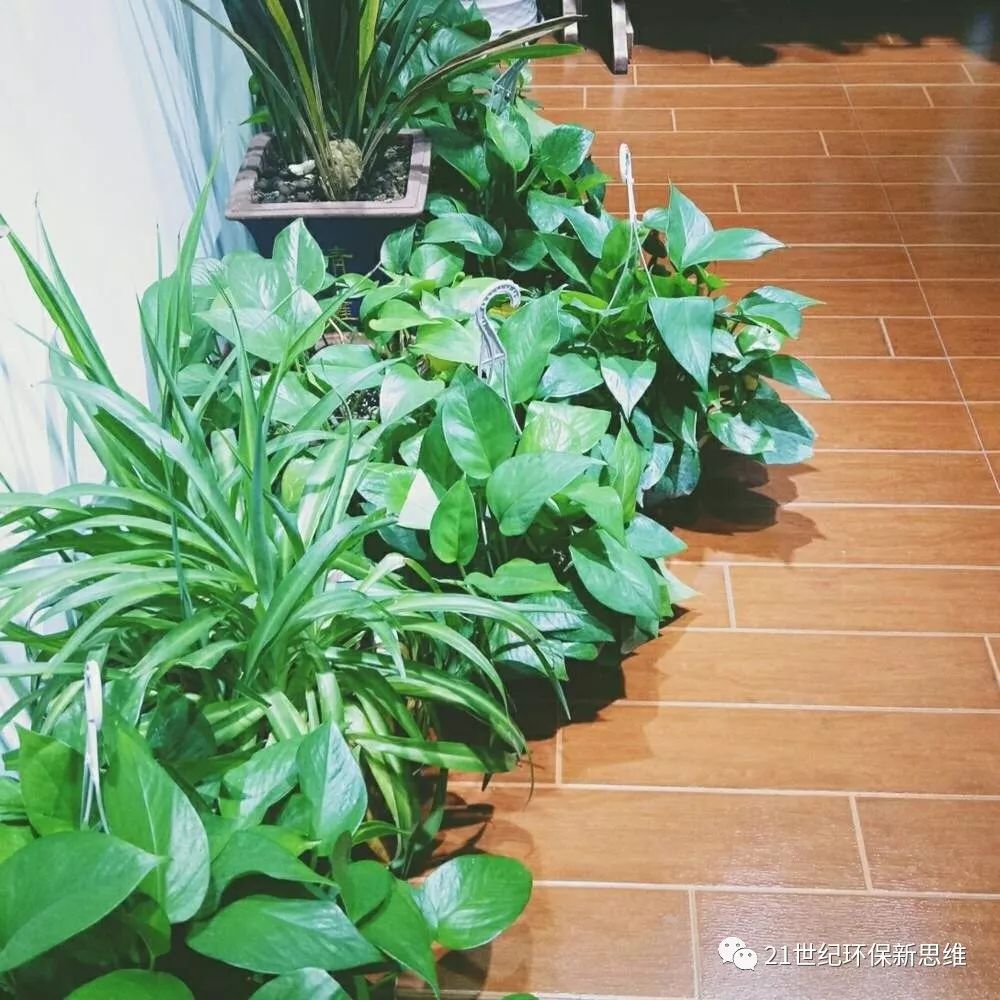 除装修甲醛味的方法_光触媒除车内甲醛_装修后除甲醛