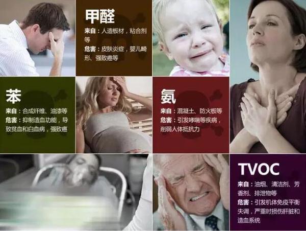 家庭装修完多久可以入住？如何改善室内空气质量？