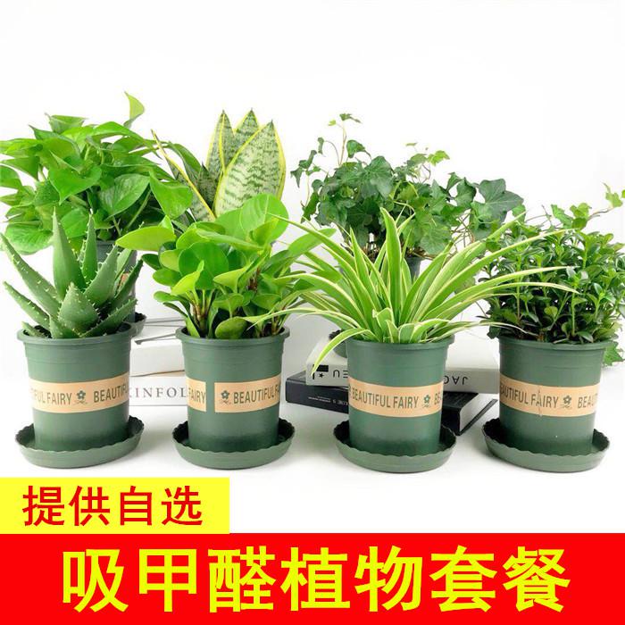 装修除异味_怎么用醋除卫生间异味_除装修异味的方法