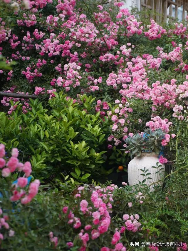 小冀亚华桂竹花园装修效果_露台花园装修效果图片_一楼花园装修效果图
