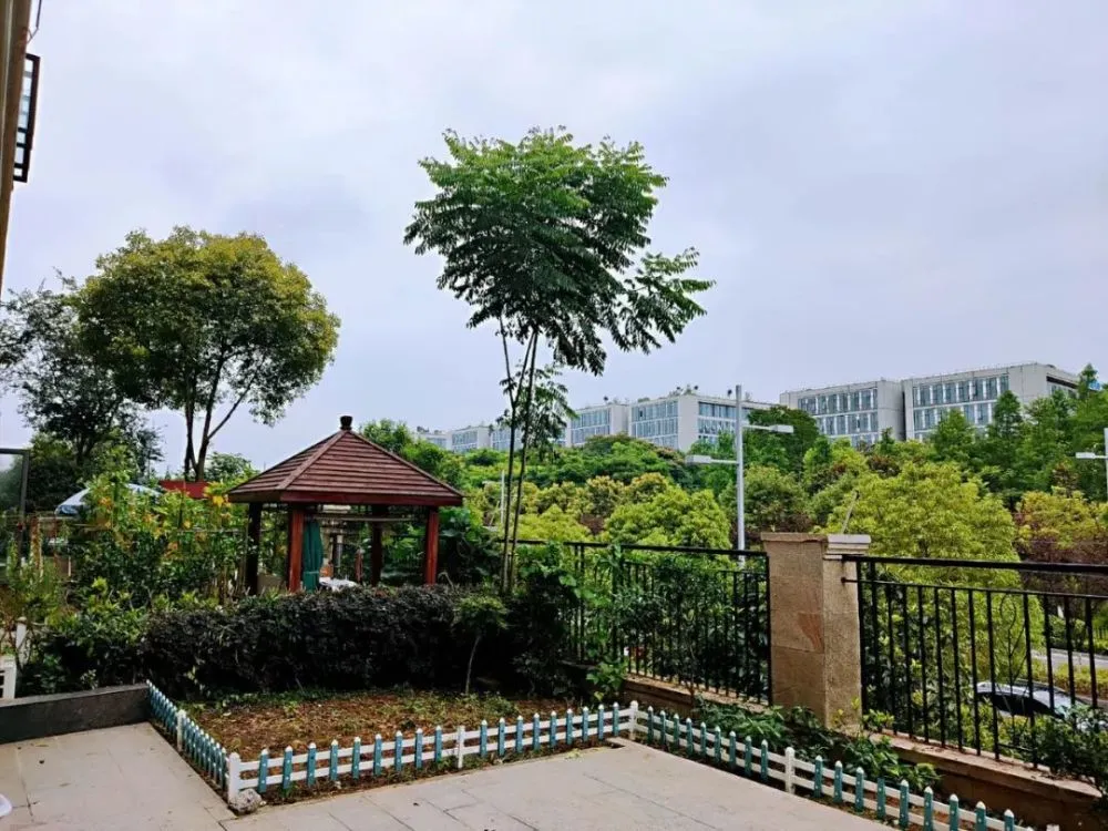 酒架装修效果图_卿酒酒动漫图_客厅保护架效果图片
