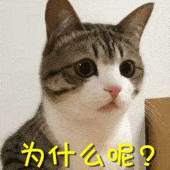 南京家装找哪个公司好_上海哪家装修公司好_上海装修哪家公司好