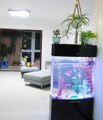 如何看风水?房屋风水知识及_装修风水知识_枝江市客厅装修风水知识