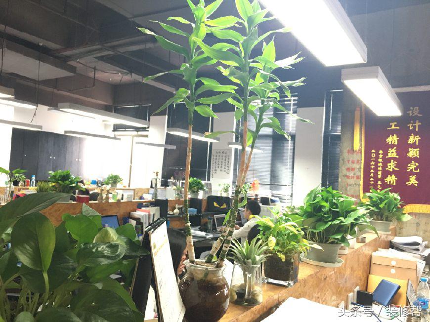 南京房屋托管公司排名_南京装修公司排名_成都公司装修排名