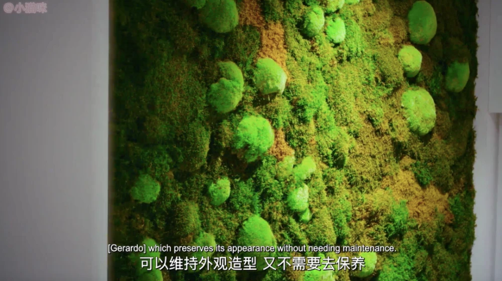 我的世界房子内部装修_85平房子3万装修简单装修_房子装修图片110 三室两厅简约装修