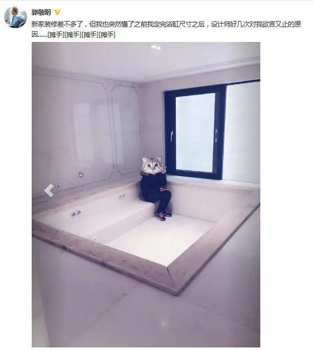 豪宅装修_豪宅影视厅装修效果图_上海豪宅装修