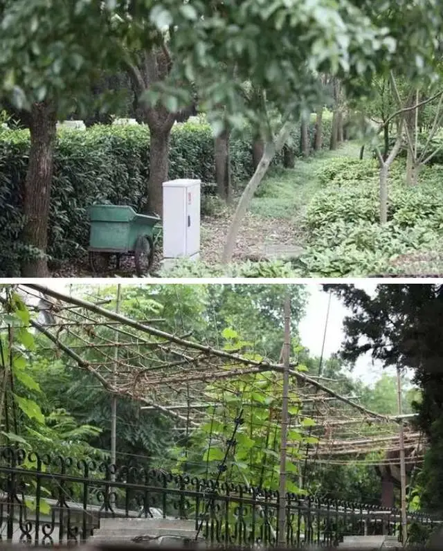 豪宅影视厅装修效果图_豪宅装修_上海豪宅装修