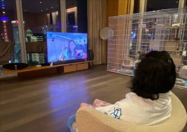 上海豪宅装修_豪宅装修_豪宅影视厅装修效果图