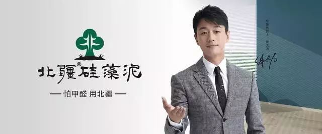 家居装修壁纸_壁纸装修效果图这样有格调的壁纸快收了_装修家居